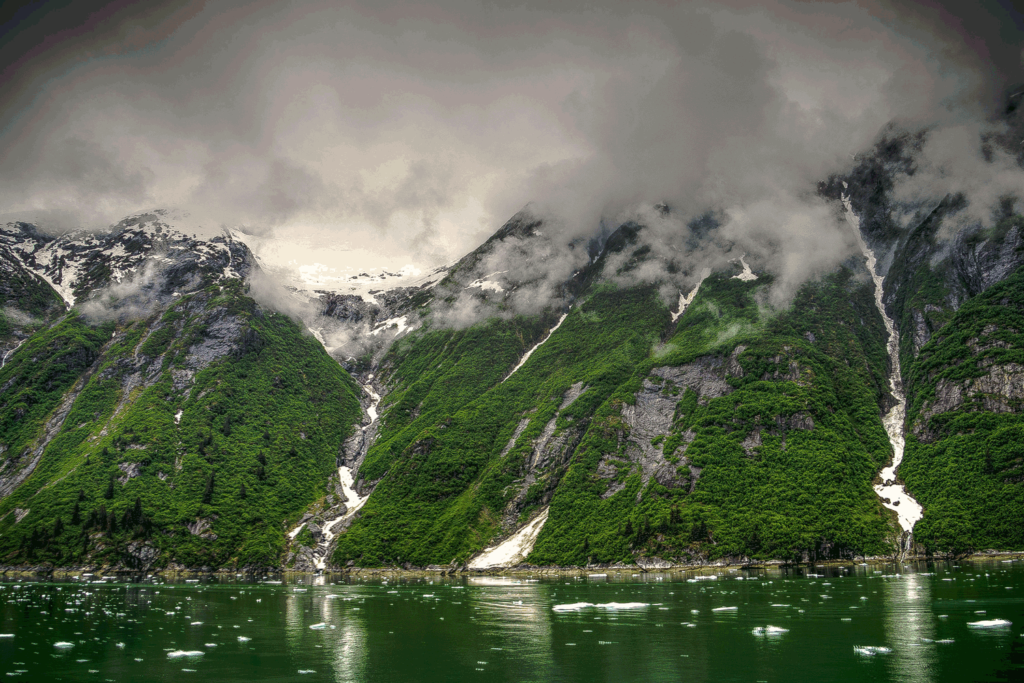 Alaska Cruises