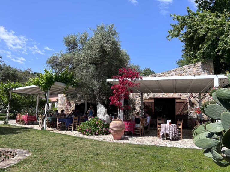 Crete Winery Tour
